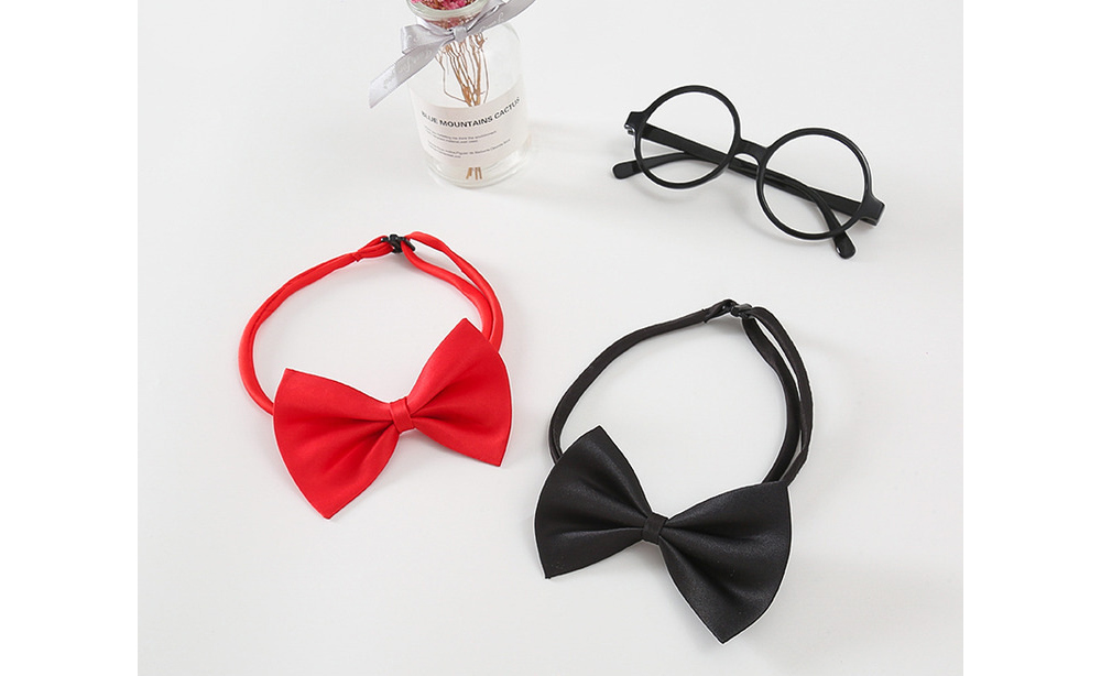 [DOO]14619650 아동 행사용 흰색 반팔 남방  유아 어린이집  유치원 연주회  나비 넥타이 남녀공용 카라 남방 셔츠 재롱잔치